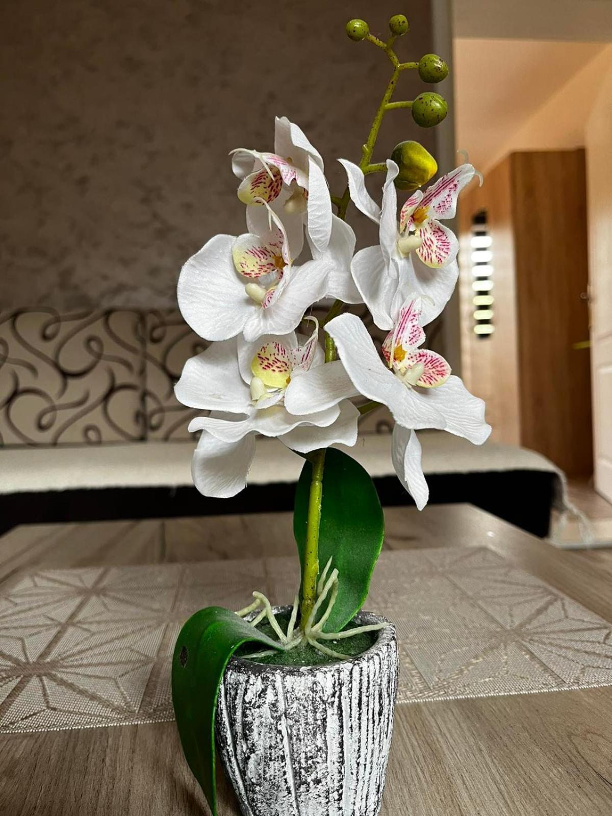 Apartmani Nikolic Višegrad Chambre photo